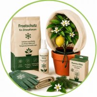 Frostschutz
