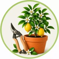 Gartenscheren