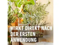 Compo Bio Zitruspflanzendünger, 500 ml