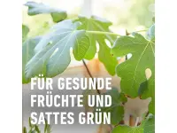 Compo Bio Zitruspflanzendünger, 500 ml