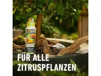 Compo Bio Zitruspflanzendünger, 500 ml
