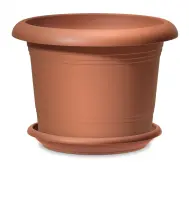 Scheurich Untersetzer Serie 331 Linda Terracotta Ø 20 cm