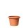 Scheurich Pflanzgefäß Oliver Ø 25 cm Terracotta