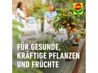 Compo Bio Zitruspflanzenerde torffrei, 10 Liter