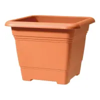 Scheurich Pflanzgefäß Nora 33 cm x 33 cm...