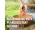 Compo BIO Granuplant® Drainage- und Pflanzgranulat, 5 Liter