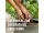 Compo BIO Granuplant® Drainage- und Pflanzgranulat, 5 Liter