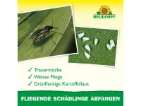 Neudorff Gelb-Sticker, 10 Stück