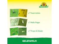 Neudorff Gelbtafeln (kleinformatig), 7 Stück