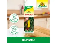 Neudorff Gelbtafeln (kleinformatig), 7 Stück