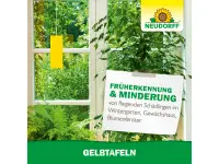 Neudorff Gelbtafeln (kleinformatig), 7 Stück