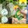 Neudorff Promanal AF Neu Schild- und Wolllausfrei, 500 ml