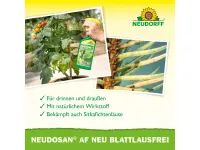 Neudorff Neudosan AF Neu Blattlausfrei Pumpspray, 250 ml