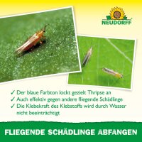Neudorff Blau-Sticker Insektenfalle, 10 Stück