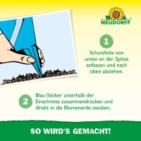 Neudorff Blau-Sticker Insektenfalle, 10 Stück