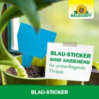 Neudorff Blau-Sticker Insektenfalle, 10 Stück