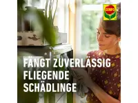 Compo BIO Gelbsticker, 10 Stück