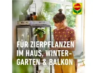 Compo BIO Gelbsticker, 10 Stück