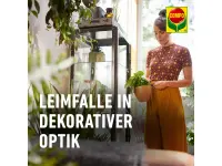 Compo BIO Gelbsticker, 10 Stück