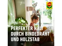 Compo BIO Gelbsticker, 10 Stück