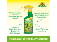 Neudorff Neudosan AF Neu Blattlausfrei Pumpspray, 500 ml