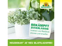 Neudorff Neudosan AF Neu Blattlausfrei Pumpspray, 500 ml