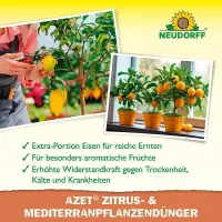 Neudorff Azet Zitrusdünger Zitrus- & Mediterranpflanzen, 1 l