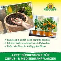 Neudorff Azet DüngeSticks für Zitrus- & Mediterranpflanzen, 40 Sticks