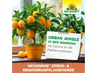 Neudorff NeudoHum Zitruspflanzenerde Zitrus- & Mediterranpflanzen, 40 l