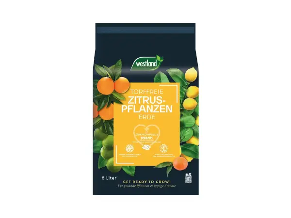 Westland Zitruspflanzenerde Torffrei mit Seramis, 8 l