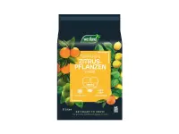 Westland Zitruspflanzenerde Torffrei mit Seramis, 8 l