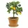 Pflanztopf Spang Ton Ø 28 cm Terracotta